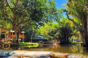 RIO DAS PEDRAS - 1